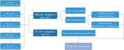 Multi-Omics Analysis Reveals Disturbance of Nanosecond Pulsed Electric Field in the Serum Metabolic Spectrum and Gut Microbiota